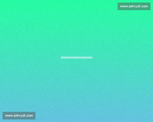 女排对决荷兰女排,激战连连中国女排力争晋级荣耀之路