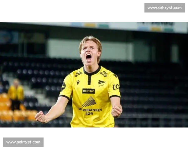 加的夫城迎战狼队英冠焦点之夜胜负悬念全面解析战术走势球员状态前瞻